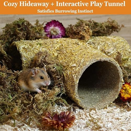 Hamster Hideout Tunnel Natural Hay & Dried Flower Paper Tube Maze Burrowing Habitat Decor for Dwarf Hamsters Gerbils Mice Syrian Hamsters (Calendula) thumbnail 7