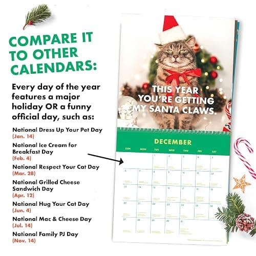 The Original P'd Off Cats 2026 Calendar - Funny, Sassy Gift for Angry Cat Lovers - 12 Month Wall Planner for Joke Present thumbnail 4