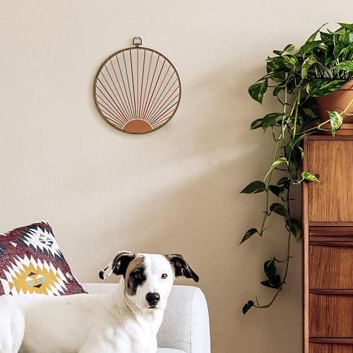 TLESKE Orange Colorful Boho Sun Round Wall Art Decor Framed 10x10, Bohemian Sunshine Canvas Wall Art Prints Artwork, Abstract Minimalist Wall Hanging Room Door Decor Decoration for Bedroom Living Room thumbnail 2
