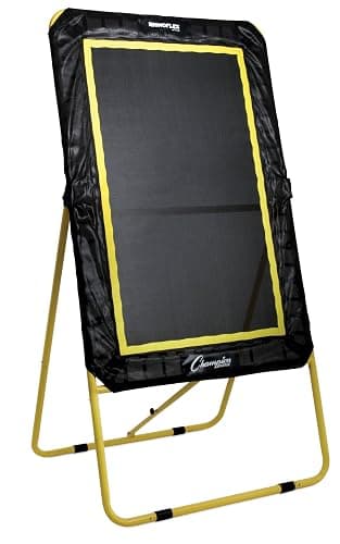 Champion Sports Deluxe Lacrosse Target: Ball Return Bounce Back Net Set for Professional, College and Grade School Training & Drills - Image 1