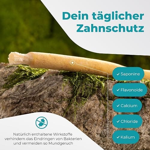 BLISSANY Miswak Brush - Natürliches Zahnputzholz für strahlend Weiße Zähne - Vegan und Umweltfreundlich - 5er Pack thumbnail 3