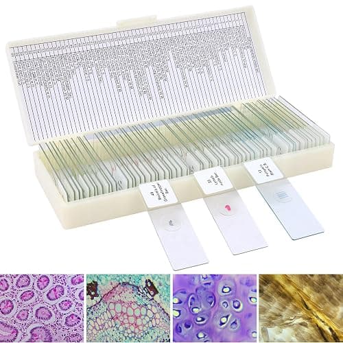 60 Microscope Slides with Specimens for Kids, Prepared Microscope Slides for Kids Microbiology, Prepared Microscope Slides for Adults - Image 1