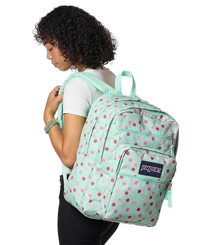 JanSport Laptop Backpack - Computer Bag with 2 Compartments, Ergonomic Shoulder Straps, 15” Laptop Sleeve, Haul Handle - Apple Orchard thumbnail 7