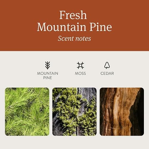 Drift Car Air Freshener - The Original Wood Air Freshener - Car Odor Eliminator - Long Lasting Scent - Auto Accessories - Metal Clip - Essential Oils - Clean Ingredients - Pine Scent Starter Kit thumbnail 3