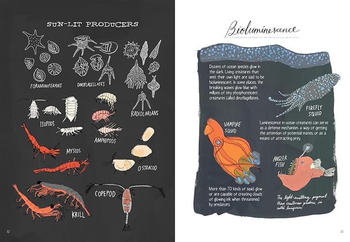 Ocean Anatomy: The Curious Parts & Pieces of the World under the Sea thumbnail 3