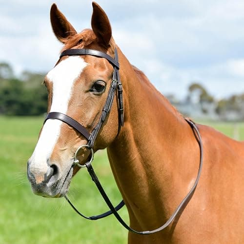 Kincade Classic Flat Hunt Bridle with Reins, Brown, Full thumbnail 2