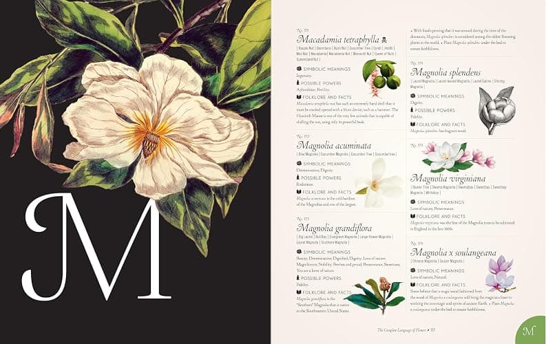 The Complete Language of Flowers: A Definitive and Illustrated History (Volume 3) (Complete Illustrated Encyclopedia, 3) thumbnail 7