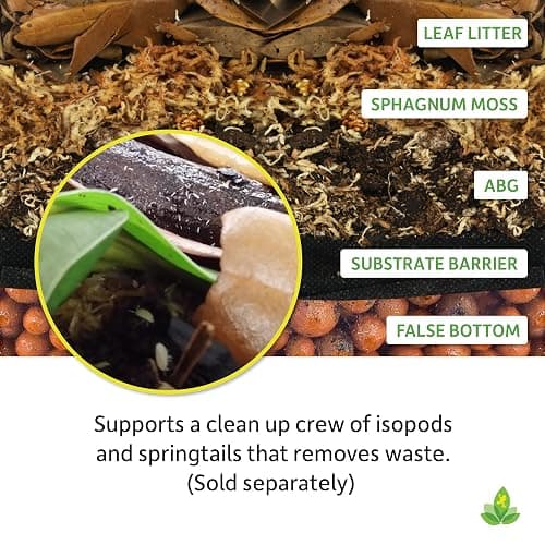 Josh's Frogs ABG Mix Tropical Plant Soil & Bioactive Terrarium Vivarium Substrate (4 Quart/1 Gallon) thumbnail 5