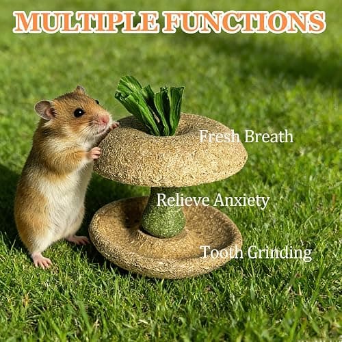 Jwizyotr 2PCS Hamster Chew Toys for Teeth Guinea Pig Treats Hamster Stuff Cage Accessories for Chinchilla Guinea Pig Rat thumbnail 5
