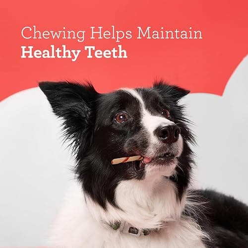 DreamBone Twist Sticks, Made With Real Chicken, Rawhide-Free Chews for Dogs, 50 Count thumbnail 7