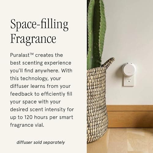 Pura & dae Fragrance Refill - Smart Home Air Diffuser - Up to 120-Hours of Luxury Fragrance per Refill - Spring & Summer - 2 Pack, Signature Citrus thumbnail 3