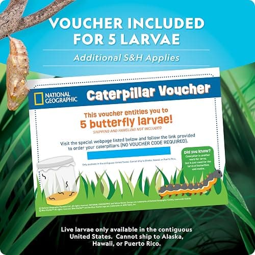 National Geographic Butterfly Growing Kit - Butterfly Habitat Kit with Voucher to Redeem 5 Caterpillars (S&H Not Included), Butterfly Cage, Feeder, Easter Basket Gifts for Kids thumbnail 6
