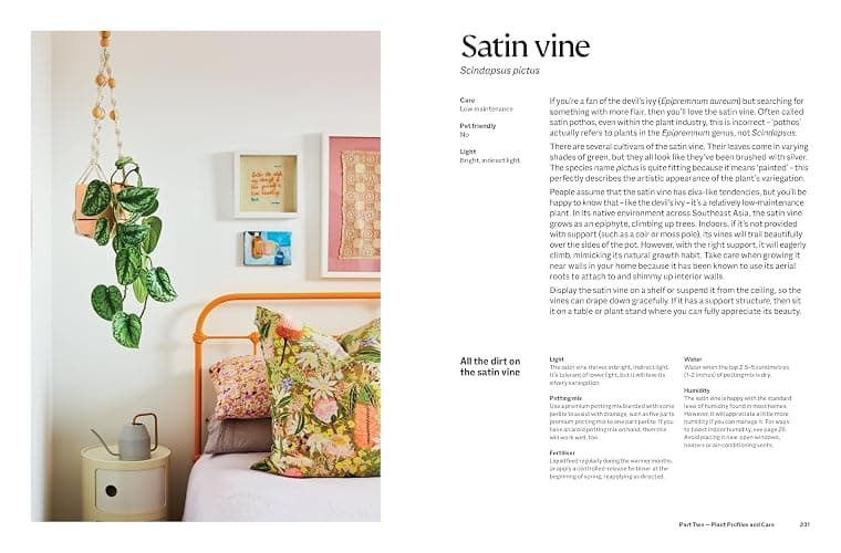 The Plant Book: The ultimate guide to thriving houseplants thumbnail 6