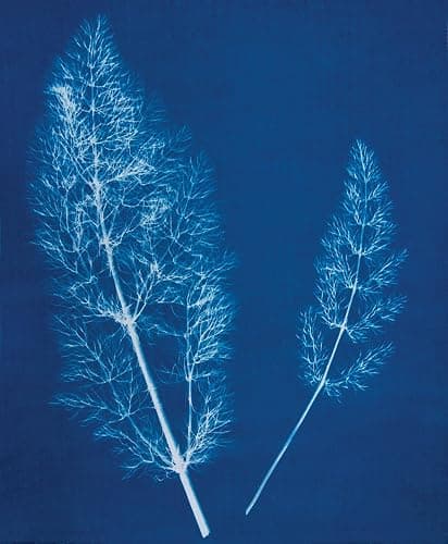 Jacquard Cyanotype Sensitizer Set thumbnail 8