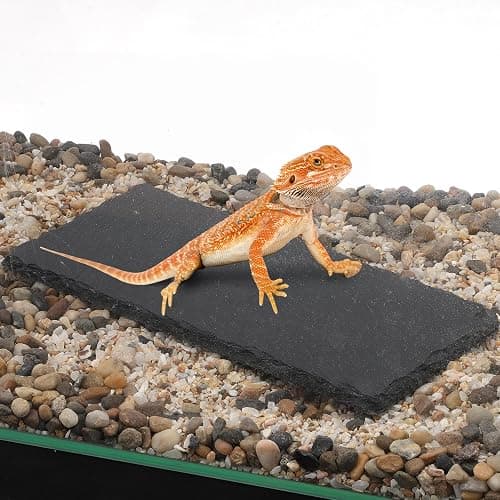CAPASTEC Reptiles Slate Rocks, Basking Surface Reptile Basking Platform, Enhances Climbing Activity, 7.87"x3.94", Black Gray thumbnail 7
