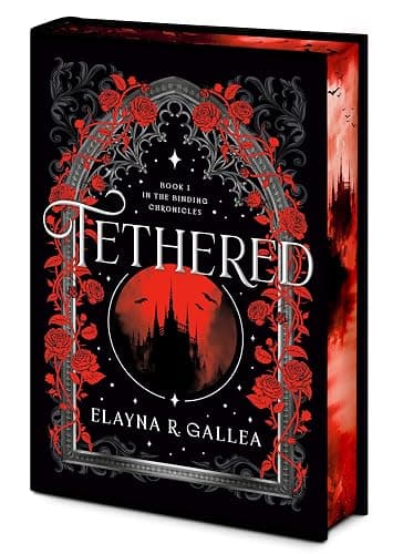 Tethered: Book One of The Binding Chronicles - Image 1