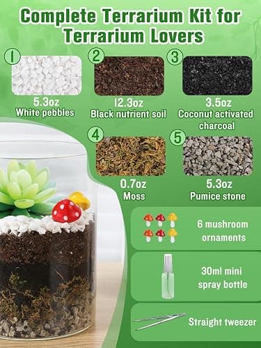 Terrarium Kit Adults - Includes Pumice, Moss, Soil, Pebbles, Charcoal, 2 Tools, Mushroom Ornaments for Succulent Cactus, Christmas Terrarium Accessories Decor Gifts for Starter Women thumbnail 3