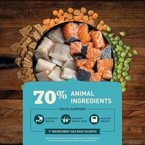ACANA Butcher’s Favorites Grain-Free Dry Dog Food Wild-Caught Salmon Recipe 4lb Bag thumbnail 4