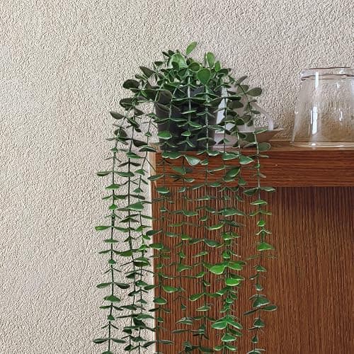 TOTOGA Artificial Hanging Plants 3 Pack Fake Potted Plants for Wall Home Room Office Indoor Decor - 3 thumbnail 6