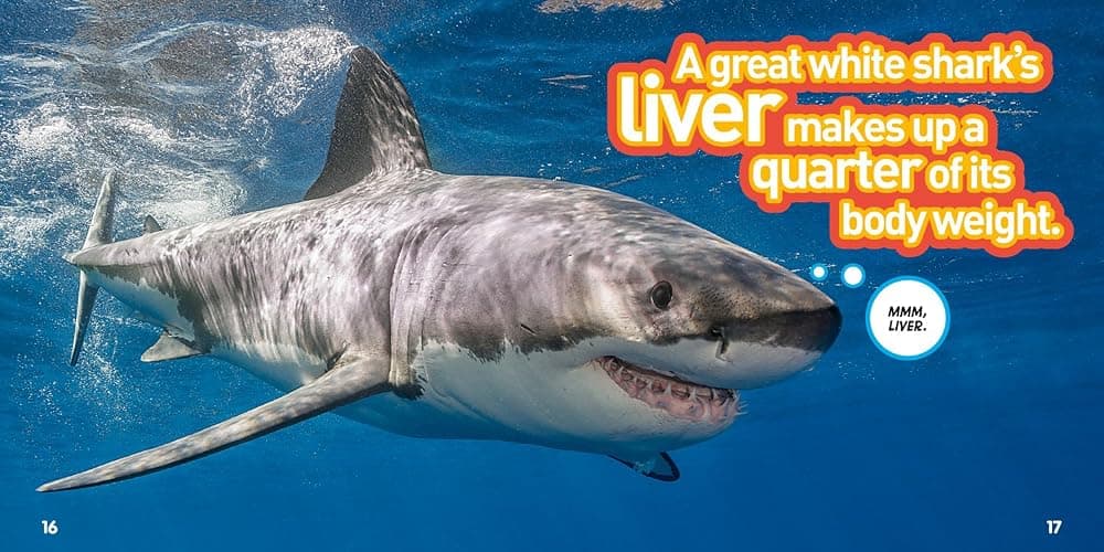 Weird But True! Animals: 300 Outrageous Facts About Wacky Wildlife thumbnail 2