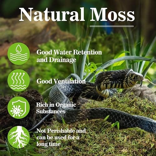 Sukh Sphagnum Moss for Reptiles - Terrarium Reptiles Moss Green Dried Peat Moss Habitat Bedding Moss for Snakes Turtle Frog Gecko and Other Reptiles Substrate (5, Ounces) thumbnail 3