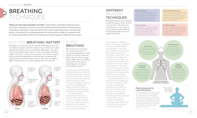 Science of Pilates: Understand the Anatomy and Physiology to Perfect Your Practice (The Science of Fitness) thumbnail 3