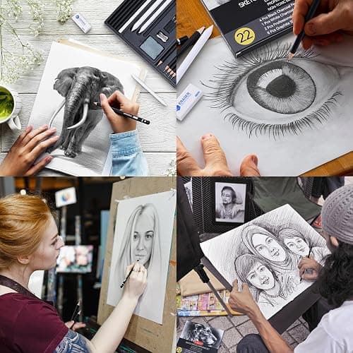 PANDAFLY Drawing Sketching Pencil Set, 22 Piece Pro Art Pencil Kit - Graphite Pencils (12B-2H), Black and White Charcoal Pencils, Charcoal Sticks, Stumps, Eraser, Sharpeners thumbnail 7