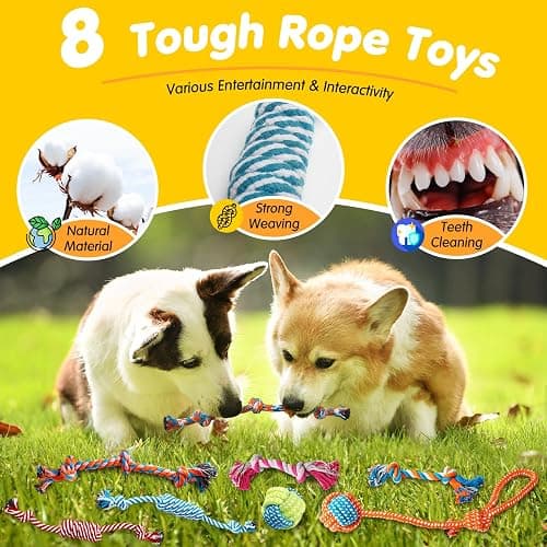 Zeaxuie 25 Pack Luxury Dog Chew Toys for Puppy, Dog Toys with Ropes, Treat Ball and Squeaky Puppy Toys for Teething Small Dogs thumbnail 4