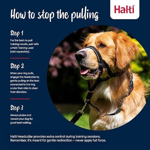 Halti Headcollar | Size 3, Black | Training Collar for Medium Dogs | Stop Your Dog Pulling on the Leash | Adjustable, Reflective & Lightweight with Padded Nose Band thumbnail 4