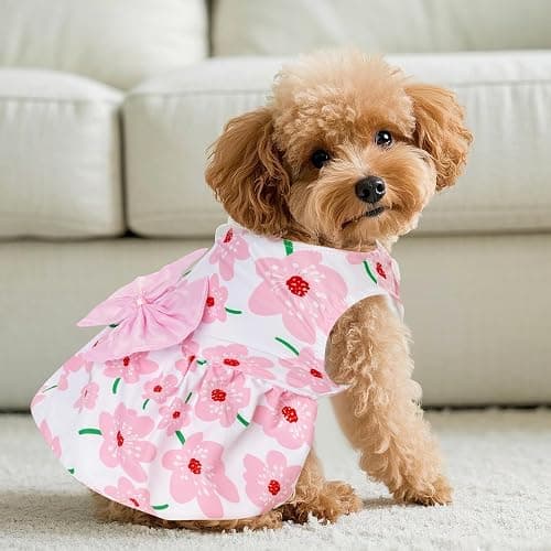 choyaxo Floral Dog Dress Cute Dog Skirt Pet Dress Summer Pet Clothes for Puppy Small Cats thumbnail 5