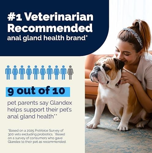 Vetnique Glandex for Dogs Anal Gland Chews 60ct Pumpkin + Digestive Enzymes | Anal Gland Dog Treats, Boot the Scoot + Fishy Odor Support, Fiber, Probiotics, Quercetin + Apple Pectin, Peanut Butter thumbnail 6