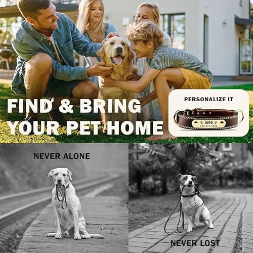 Personalized Dog Collar - Custom Leather Dog Collar with Engravable Nameplate - Durable Name Tag Collar - Customizable Dog Collar - Comfortable ID Collars for Small, Medium, Large Dogs (Small) thumbnail 5