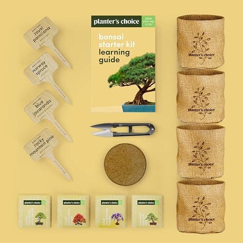 Bonsai Starter Kit thumbnail 5