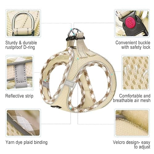 haapaw Dog Harness with Leash Set, No Pull Adjustable Reflective Step-in Puppy Harness with Thickened Padded Vest for Extra-Small/Small Medium Dogs thumbnail 2