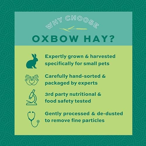 Oxbow Animal Health Orchard Grass, Guinea Pig Hay, Rabbit Hay, Small Pet Bunny Supplies, All Natural Grass for Guinea Pig, Bunny, Chinchilla & Hamster, Oxbow Rabbit Supplies for Bunnies, 9 lb. box thumbnail 5