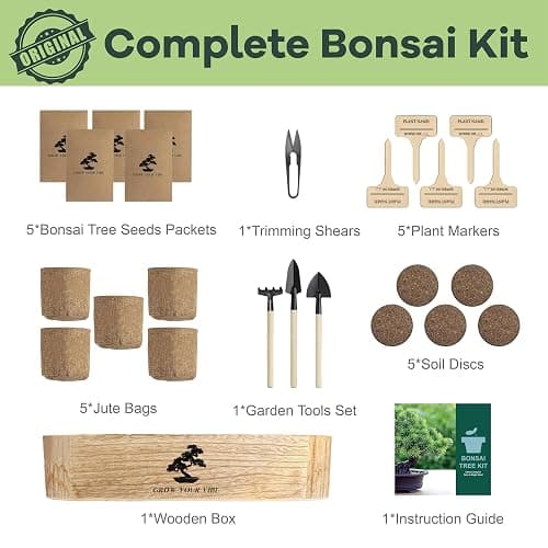 LUOJIBIE Bonsai Tree Kit for Beginners - Unique DIY Japanese Bonsai Trees,Crafts for Adults, Ideal Gardening Birthday Gift for Women & Men,Complete Indoor Plant Kit thumbnail 6