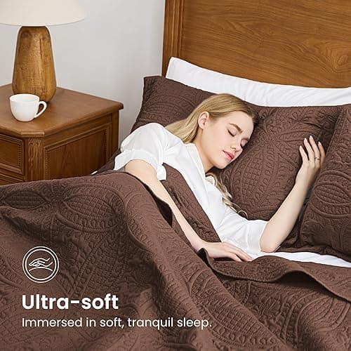 Love's cabin Quilts for Queen Bed Brown Bedspreads Bedding Set - Lightweight Bedspread Comforter - Coin Pattern Bedding Coverlet for All Season - 3 Pieces (1 Quilt, 2 Pillow Shams) thumbnail 5