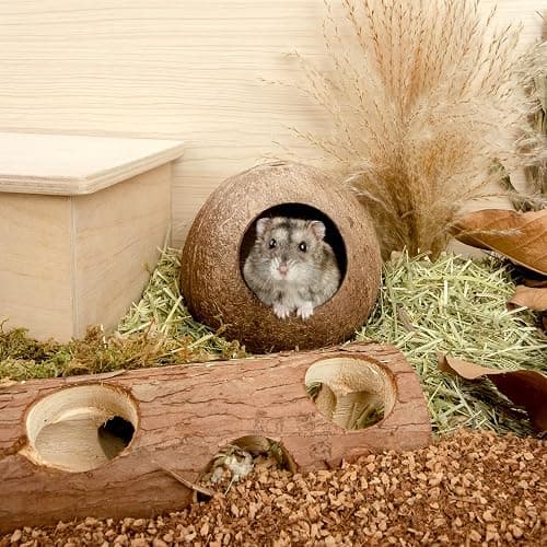 andwe Coconut Hut Hamster House Bed for Gerbils Mice Small Animal Cage Habitat Decor thumbnail 6