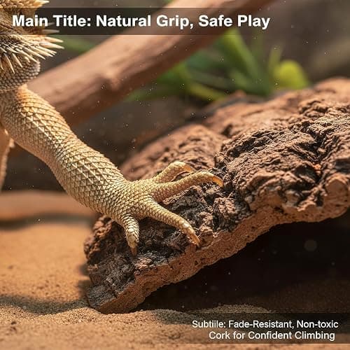 4pcs Reptile Bark Decor Wood,Natural Cork Bark, Bark Cork Hides Water Bark Flats Decor,Reptile Bark Cork Wood Bark Terrarium for Bearded Dragon Lizard Geckos Tortoise Random Shape Random Size Deliver thumbnail 5