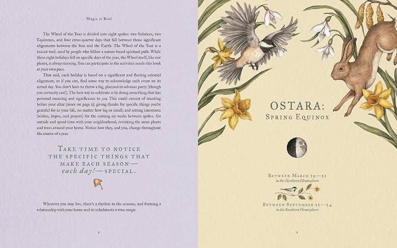 The Wheel of the Year: An Illustrated Guide to Nature's Rhythms thumbnail 4