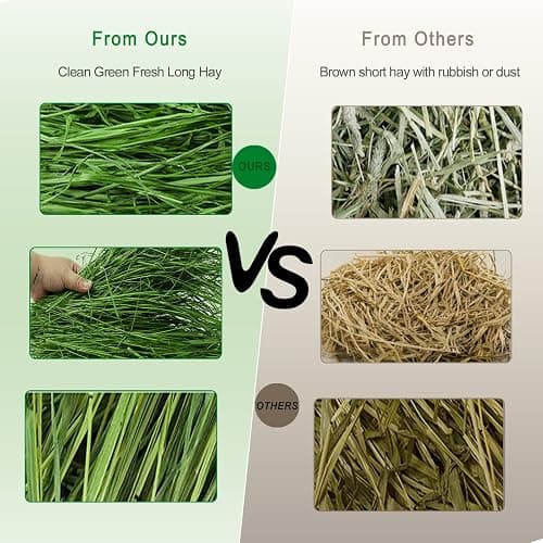 Ohcool Timothy Hay Premium Hay for Rabbits Guinea Pig Chinchilla- Natural Fresh Hay Hand Selected 6.6LBS (1.1lbs, 6 Pack) thumbnail 3
