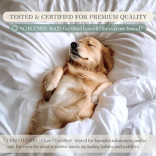CASILVA Eucalyptus Sheets, Softer Than Silk Fibers, Full Sheet Set | Infused with Silver for Anti-Odor, More Cooling Than Cotton, Perfect for Hot Sleepers & Sensitive Skin thumbnail 6
