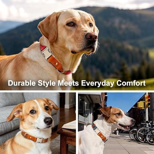 Plutus Pet Genuine Leather & Hemp Dog Collar – Adjustable Heavy Duty Pet Collar with Quick Release Metal Buckle, Soft & Stylish for Puppy and Small, Medium, Large Dogs (Royal Blue, M) thumbnail 6