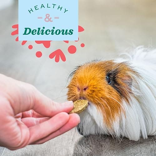 Oxbow Natural Science Vitamin C Supplement, Vitamin C & High-Fiber Timothy Hay, Guinea Pig Items, Made in the USA, Small Pet Supplies, Recommended by Veterinarians, 4.2 oz thumbnail 4
