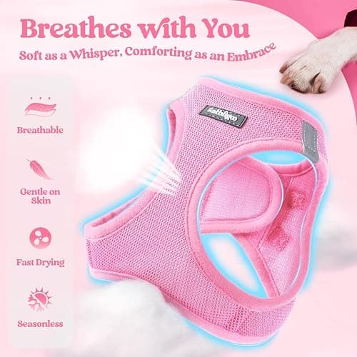 rabbitgoo Dog Harness Small Sized and Leash Set, Step-in Puppy Pet Vest | Light, Soft, Breathable Air Mesh, Easy on and Remove with Hook & Loop, Secure Reflective for Walking, Light Pink S thumbnail 3