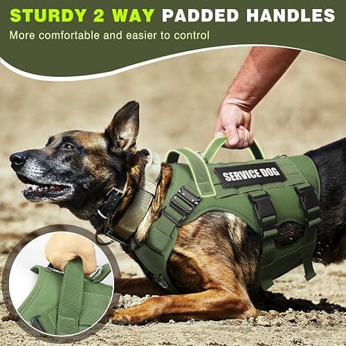 WINSEE Service Dog Vest Harness for Medium Dog, Tactical Working MOLLE Vest with 10 Pet Patches, No Pull Heavy Duty Harness for Training Walking thumbnail 4