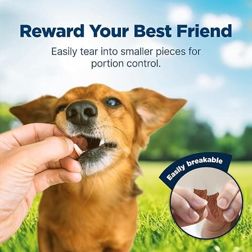 Blue Buffalo Nudges Jerky Cuts Dog Treats, Made in the USA with Natural Ingredients, Chicken & Duck, 16-oz Bag thumbnail 4