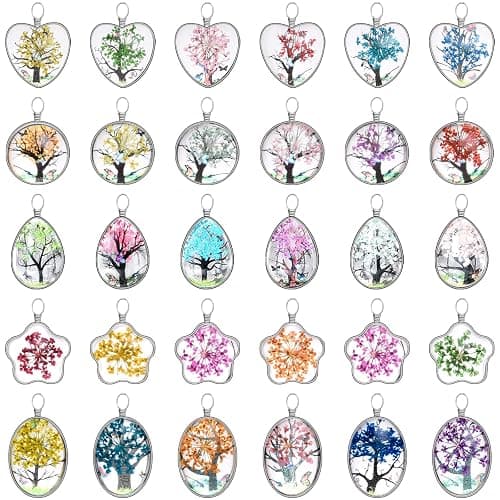 YionZian 20Pcs 5Styles Dried Flower Tree Pendant Plant Pressed Flower Charms Mix Lacework Transparent Resin Beads Charms for DIY Necklace Bracelet Jewelry Making - Image 1