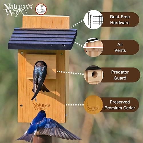Nature's Way Bird Products CWH4 Cedar Bluebird Viewing House thumbnail 3
