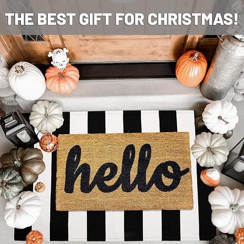 IOHOUZE Black White Striped Rug -27.5" X 43" Front Door Mats Outdoor,Washable Rug for Front Porch Decor,Spring Summer Welcome Mats Outdoor Indoor, Doormat for Farmhouse/Entryway/Home Entrance thumbnail 2